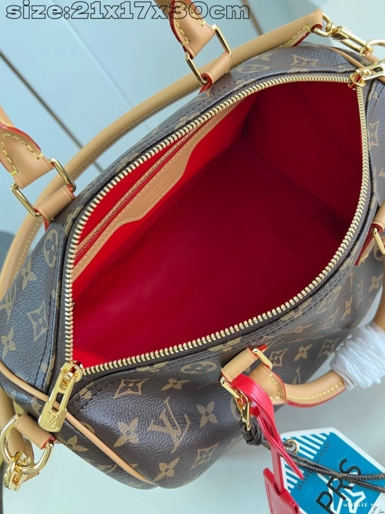 WIS Speedy 30 Vuitton Louis Soft Crafty 0211